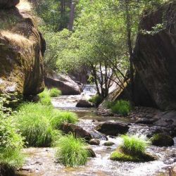 Qué hacer en Segovia Qué hacer en Segovia